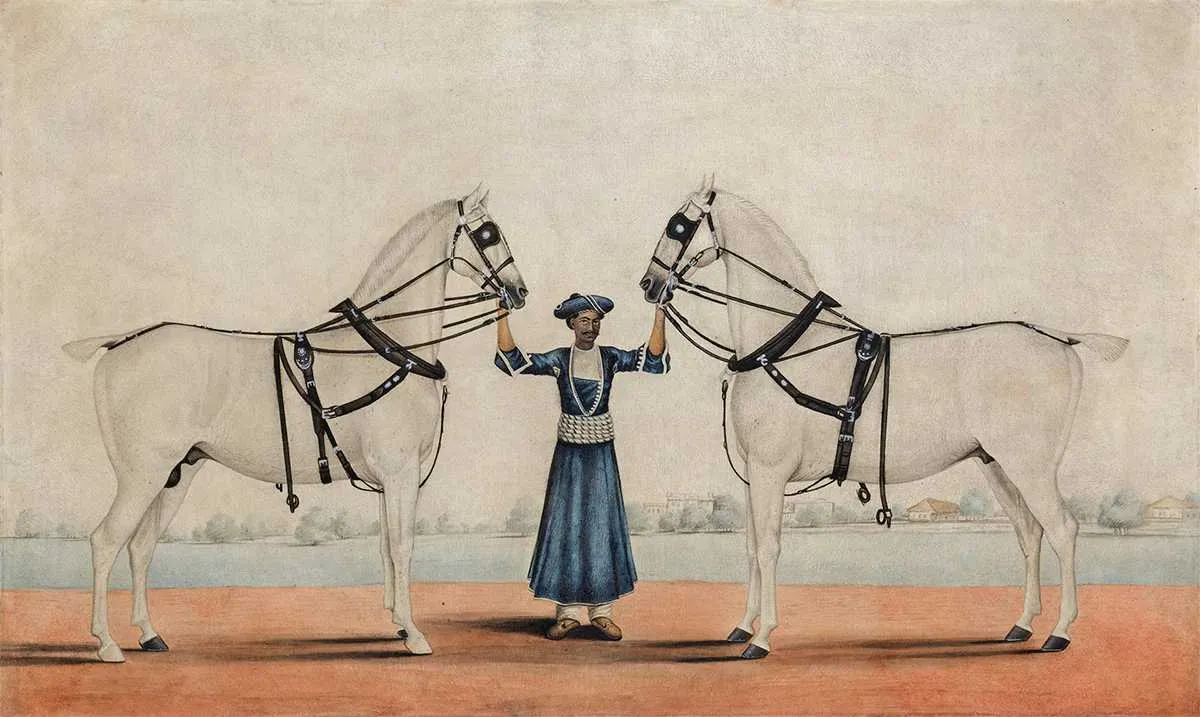 two horses